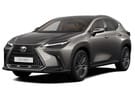 Коврики на Lexus NX II 2021 - 2025 в Липецке