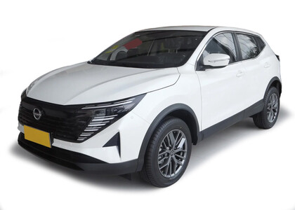 Коврики на Nissan Qashqai (J11) Glory / Honor (Китай) 2024&nbsp;-&nbsp;2026 в Липецке