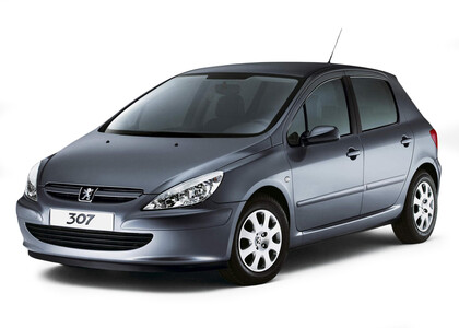 Коврики на Peugeot 307 2001 - 2008 в Липецке