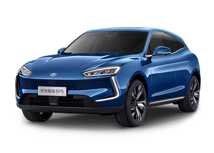 Коврики на Seres SF5 2019 - 2022 в Липецке Коврики на Seres SF5 2019 - 2022 в Липецке