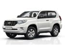 Коврики на Toyota Land Cruiser Prado 150 2009 - 2023 в Липецке