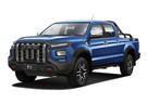 Ворсовые коврики на JAC T9 2021 - 2025 в Липецке
