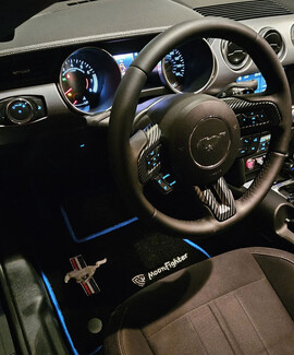 EVA коврики на Ford Mustang VI 2013 - 2023 в Липецке EVA коврики на Ford Mustang VI 2013 - 2023 в Липецке
