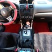 Ворсовые коврики на Subaru Forester IV 2012 - 2019 в Липецке