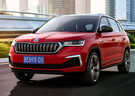 Ворсовые коврики на Skoda Kamiq 2018 - 2025 в Липецке