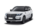 EVA коврики на Changan CS95 2016 - 2025 в Липецке